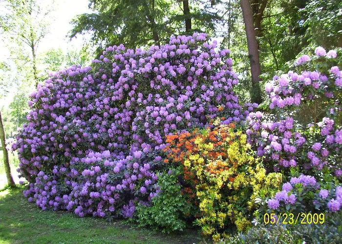 Apartment Worpswede *